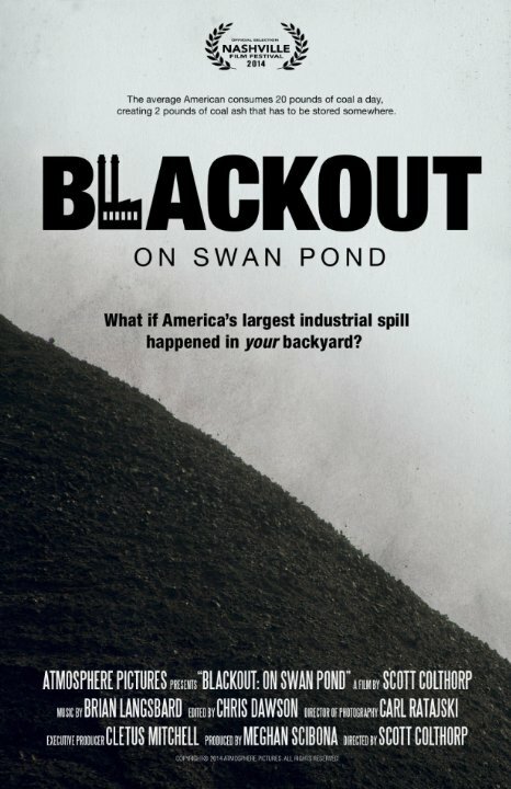 Blackout: On Swan Pond (2014)