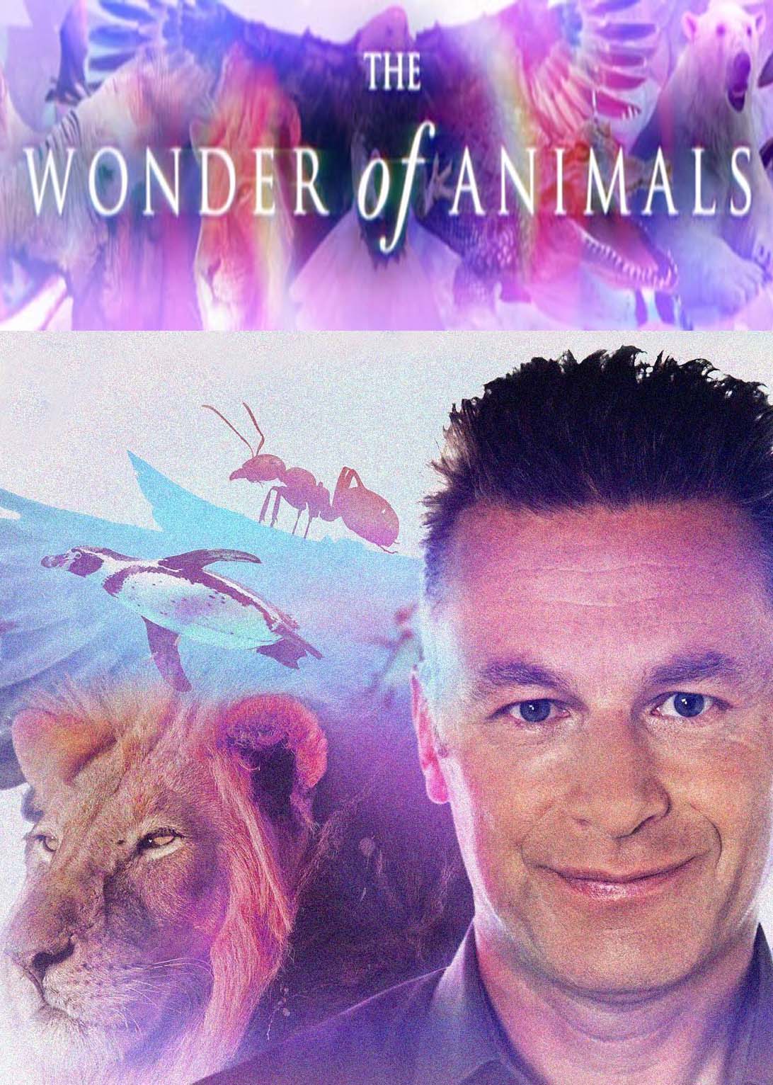 BBC. Чудеса животного мира (2014)