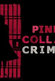 Pink Collar Crimes (2018)
