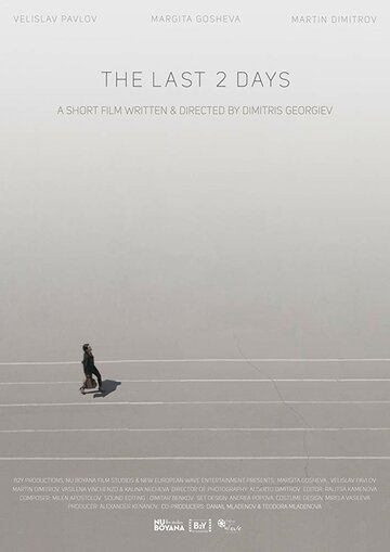 The Last 2 Days (2017)