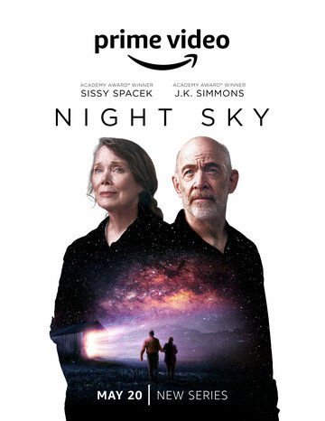 Ночное небо (2022)