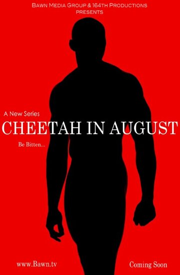 Cheetah in August (2015)
