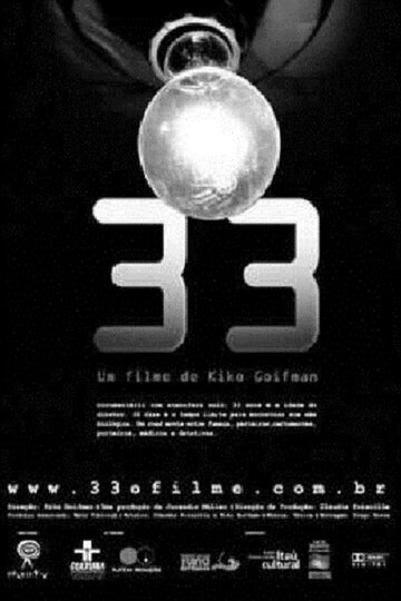 33 (2002)