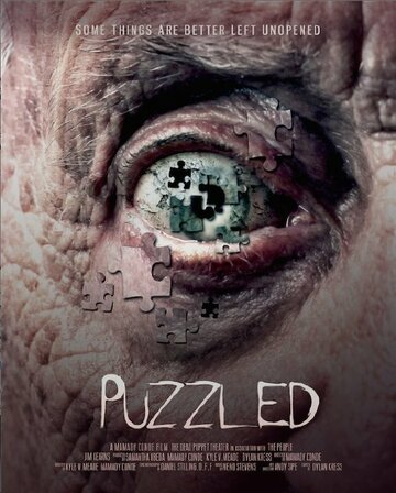 Puzzled (2014)