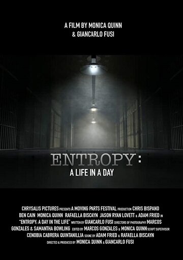 Entropy: A Day in a Life (2017)