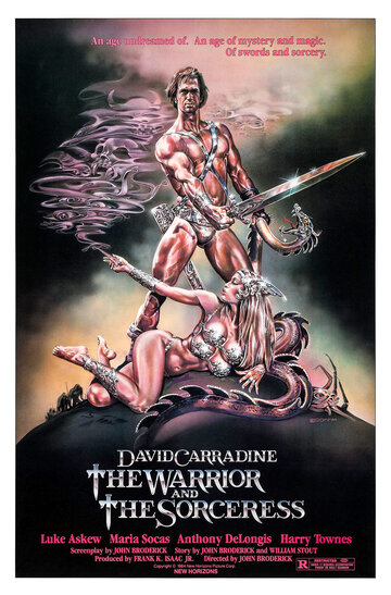 Воин и колдунья (1984)