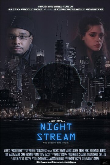 Night Stream (2013)